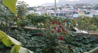 Гостевой дом Эмилия Судак Трехместный номер с основными удобствами-4